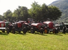 1. Hirschenau 206 Starter 14.Juni.2009