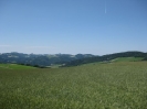 1. Hirschenau 206 Starter 14.Juni.2009