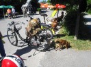 st_georgen_am_steinfeld_23