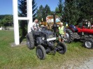 st_georgen_am_steinfeld_69