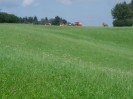 nussendorf_121