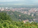 rehberg_034