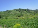 rehberg_037