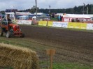 reingers_046