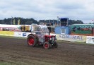 reingers_053