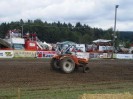 reingers_061