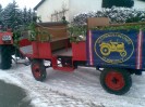 faschingsumzug_blindenmark_012