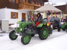 faschingsumzug_blindenmark_016