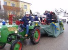 faschingsumzug_blindenmark_030