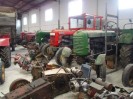 stangl_puch_bertll_023