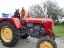 stangl_puch_bertll_030