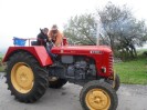 stangl_puch_bertll_031