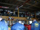 stangl_puch_bertll_073