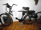 stangl_puch_bertll_082