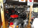 stangl_puch_bertll_085