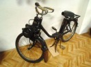 stangl_puch_bertll_088