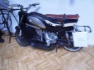 stangl_puch_bertll_089