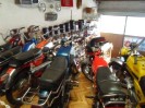 stangl_puch_bertll_090