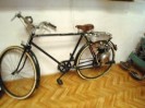 stangl_puch_bertll_091