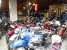 stangl_puch_bertll_110