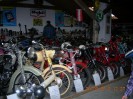 stangl_puch_bertll_118