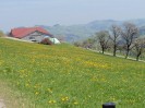 stift_ardagger_2010_8