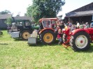 artstetten_hasling_009