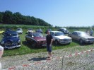artstetten_hasling_013