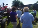 artstetten_hasling_017