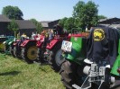artstetten_hasling_018
