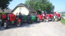 artstetten_hasling_021