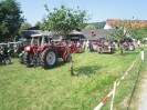 artstetten_hasling_022