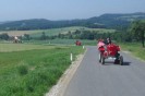 artstetten_hasling_039