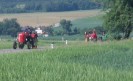 artstetten_hasling_040
