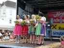 most_dirndl_spring_171