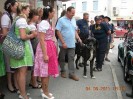 most_dirndl_spring_202