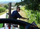 aschbach_343