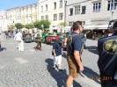 schoenfeld_118
