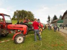 erdaepfelfest_stgeorgen_w_015