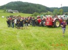 aumuehle_grein_23
