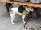 aumuehle_grein_74
