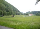 weiten_10
