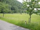weiten_14