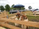 weistrach_vierkantfest_054