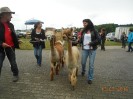 weistrach_vierkantfest_081