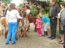 weistrach_vierkantfest_104