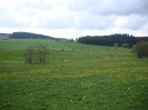 gutenbrunn_ot_16