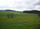 gutenbrunn_ot_19