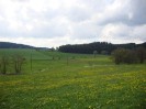 gutenbrunn_ot_20