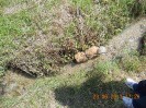 15_yspertaler_ot_043